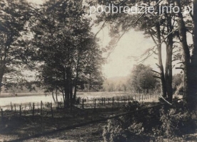 Jezioro_Wiszniewskie-ok1916.jpg