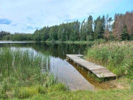 1-20230805_123334.jpg