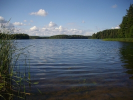 1-Jezioro_Zejmiana-2012.jpg