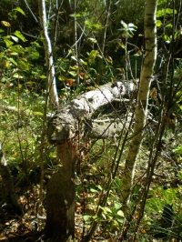 16-P9252100A.jpg