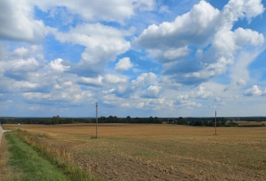 20240808_150205A.jpg