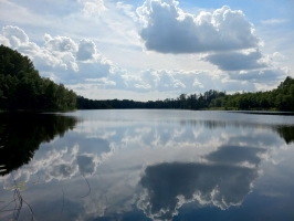 20240808_154432A.jpg