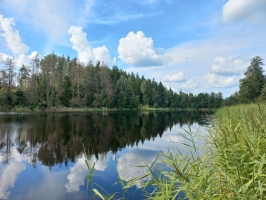 20240808_154437A.jpg