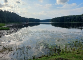 20240809_185331A.jpg