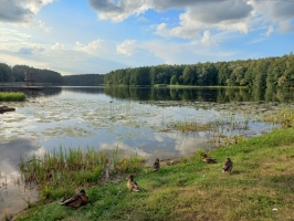 20240809_190545A.jpg