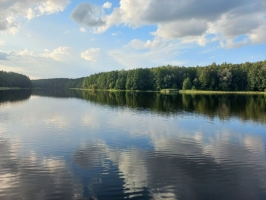 20240809_190730A.jpg