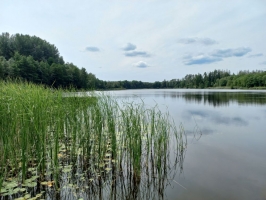 3-20230805_123539.jpg