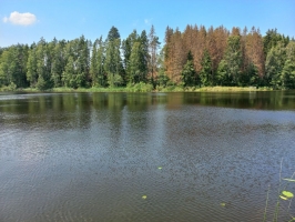 4-20230806_135205.jpg