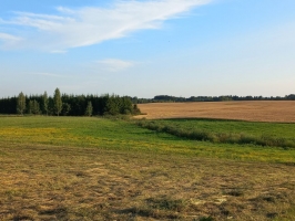 5-20230802_195155.jpg