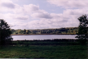 9a74exh.jpg