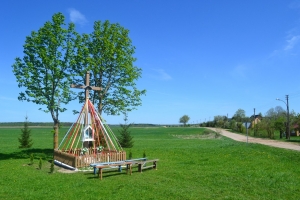 DSC_0795A.JPG