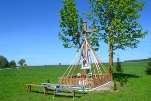 DSC_0811A.JPG