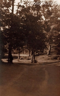 Jezioro_Dubinskie-1938.jpg