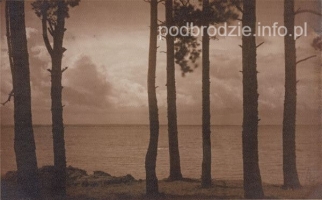 Jezioro_Narocz-sosny-przed1939.jpg
