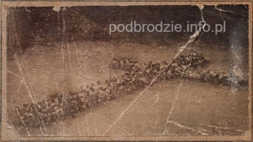 Wilno-grob_Sierakowskiego-ok1921.jpg