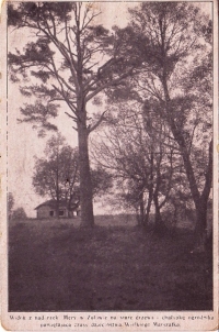 Zulow-park-1935.jpg